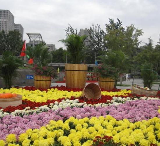 蚌埠城市菊展设计