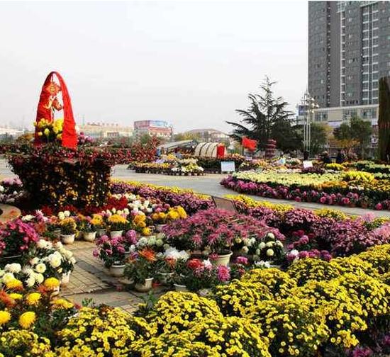 迪庆城市菊展设计