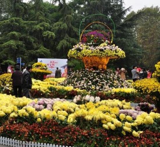 上海公园菊展设计施工